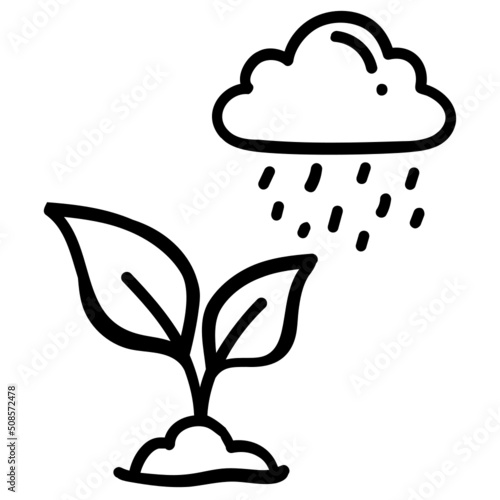 Rain 