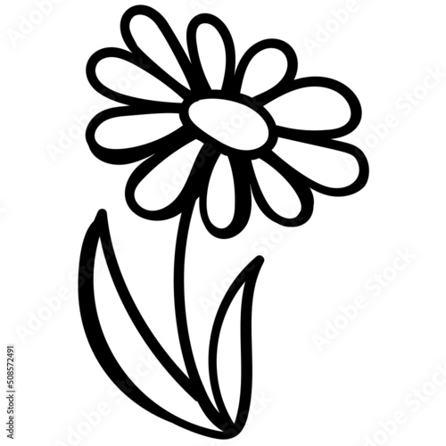 Daisy 