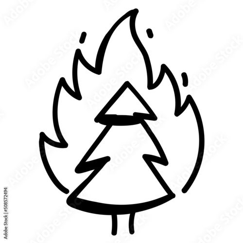 Forest Fire 