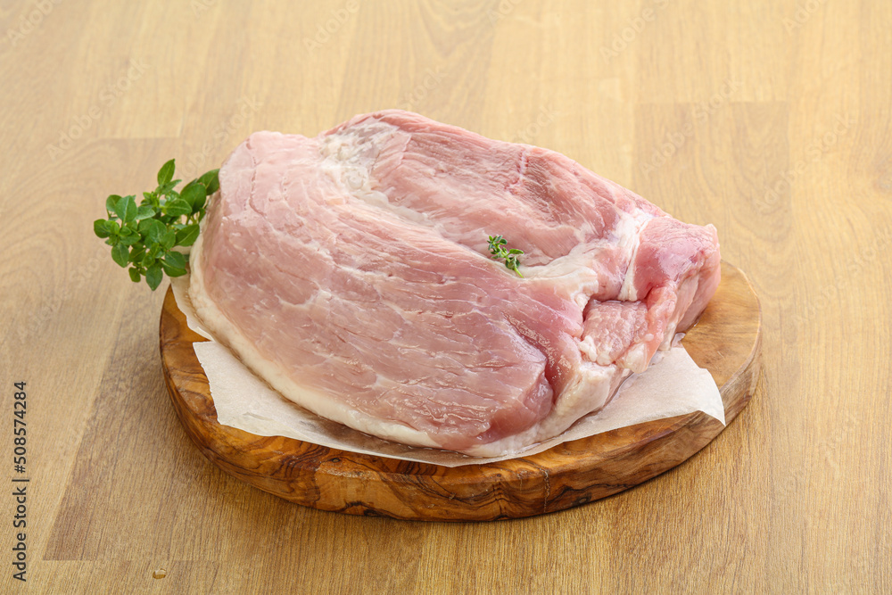 Piece of the raw pork meat Piece of the raw pork meat