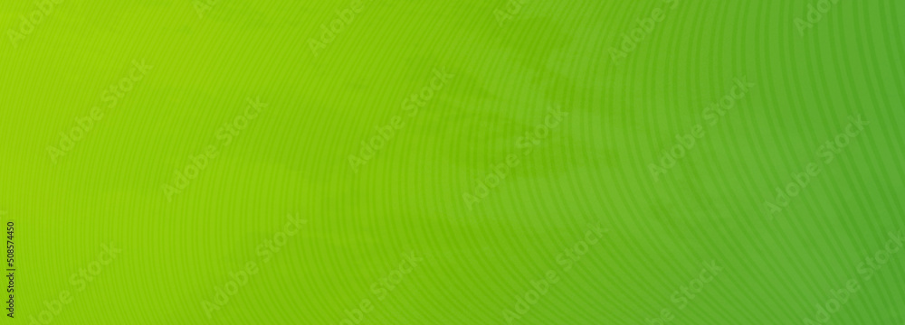 Green gradient background blank. Horizontal banner or wallpaper tamplate. Copy space, place for text, text area. Bright illustration. Space metaverse web 3 technology texture Green gradient background blank. Horizontal banner or wallpaper tamplate. Copy space, place for text, text area. Bright illustration. Space metaverse web 3 technology texture