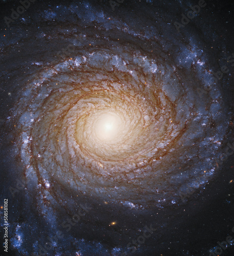 Fotografia, Obraz Spiral Galaxy NGC 3147 Constellation of Draco