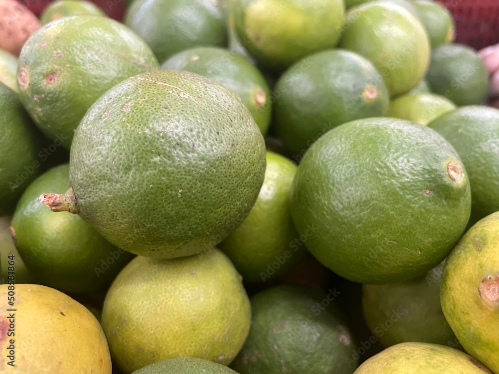 Fresh green lime pile in harvest season Fresh green lime pile in harvest season
