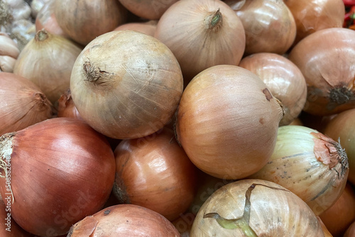 Fresh garlic closeup. Pile of garlic heads. Garlic heap. Background of garlic.
