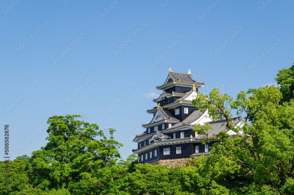 新緑に映える岡山城の天守閣