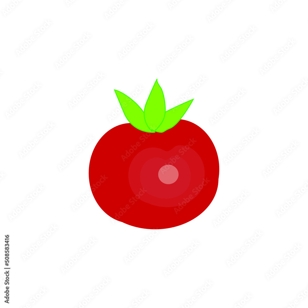 vector ,vegetable isolated on white background vector ,vegetable isolated on white background