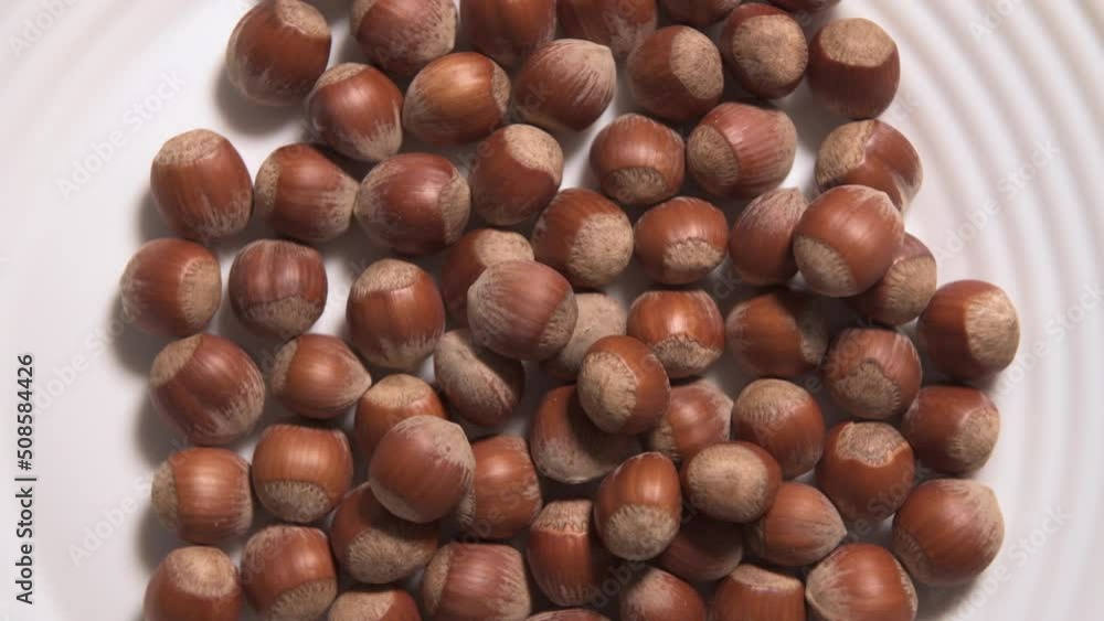Hazelnuts group background - 4K - stock video Hazelnuts group background - 4K - stock video