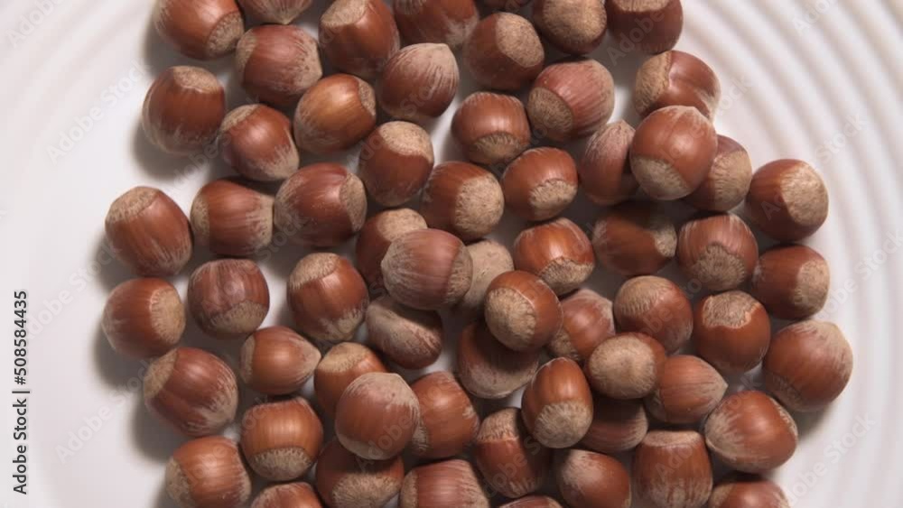 Hazelnuts group background - 4K - stock video Hazelnuts group background - 4K - stock video