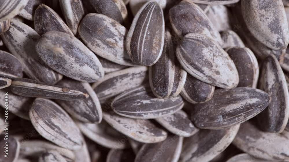 Full frame toasted sunflower seeds from above - stock video Full frame toasted sunflower seeds from above - stock video
