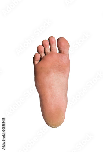 foot or pair of bare feet on isolated background © meen_na