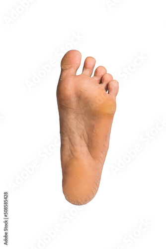 foot or pair of bare feet on isolated background