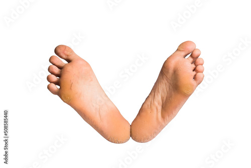 foot or pair of bare feet on isolated background © meen_na