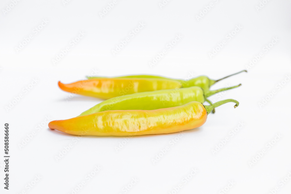 Fresh chili isolate on white background, organic vegetable, hot green chili