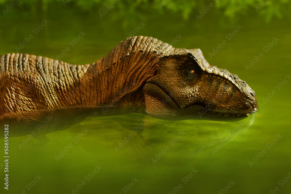 Dinosaur 3d rendering, Tyrannosaurus Rex swimming