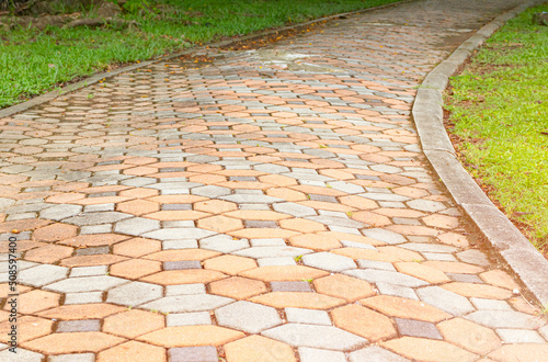 brick block old walk path in the park