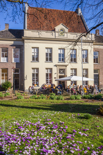 Crocusses in frontof a cafe on the Oude Bornhof square in Zutphen, Netherlands