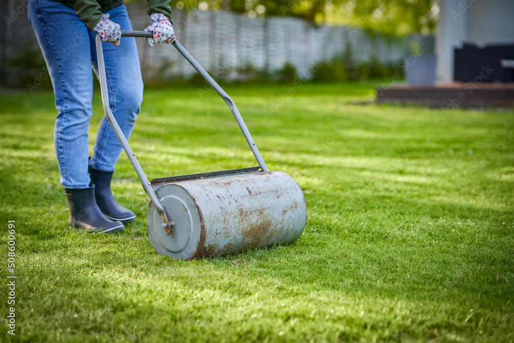 Woman working with lawn roller in the garden Woman working with lawn roller in the garden