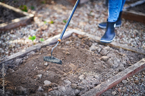 Picture of woman working with tools in the garden