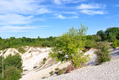 Old wreck car and sand dunes in the French Gatinais Regional Nature Park