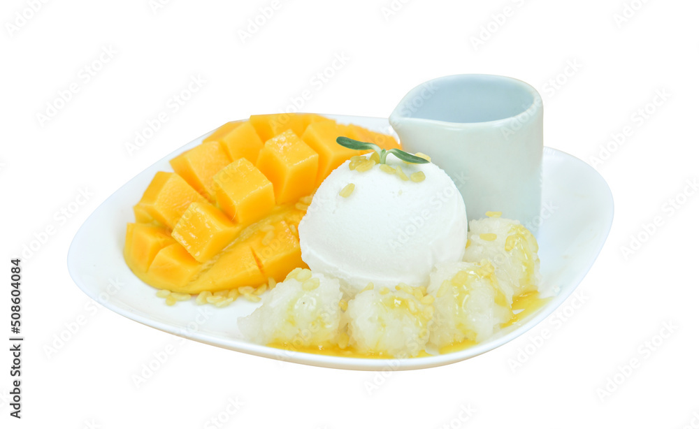 Mango ice cream, Mango sticky rice with ice cream, and coconut milk source, Thai style dessert Mango ice cream, Mango sticky rice with ice cream, and coconut milk source, Thai style dessert