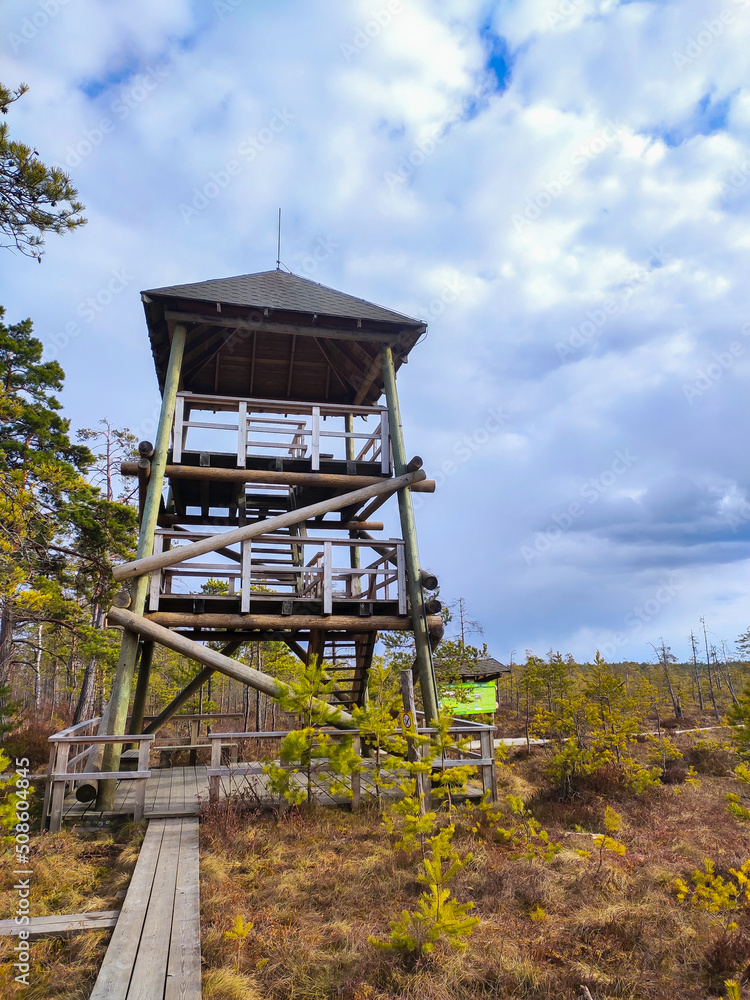 Watch Tower at Cenas Swamp Latvia, Kemeri National Park. Idyllic Autumn Landscape. Ecological Reserve in Wildlife. Marshland at Wild Nature. Swampy Land and Wetland, Marsh, Bog. Watch Tower at Cenas Swamp Latvia, Kemeri National Park. Idyllic Autumn Landscape. Ecological Reserve in Wildlife. Marshland at Wild Nature. Swampy Land and Wetland, Marsh, Bog.