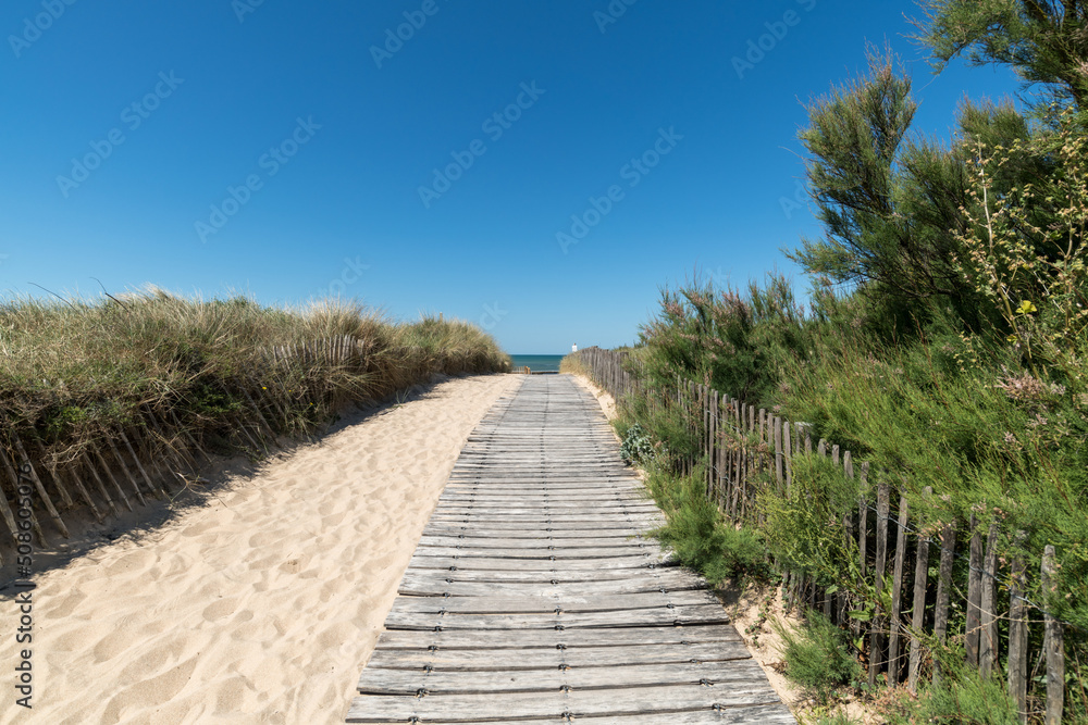 Fototapeta premium Ile d’Oléron (Charente-Maritime, France), chemin d’accès à la plage