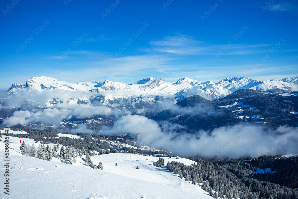 Alps valley, forest covered with snow and flying bellow clouds
