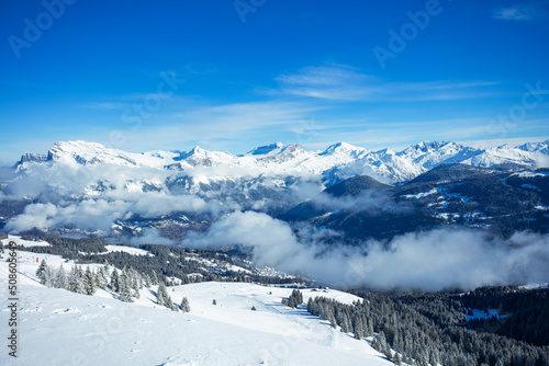 Alps valley, forest covered with snow and flying bellow clouds © Sergey Novikov