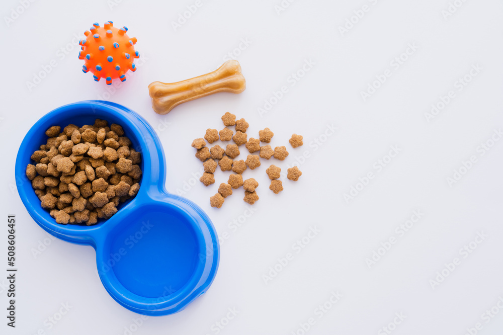 top view of bone shaped pet treat near bowl with dry pet food and rubber toy isolated on white. top view of bone shaped pet treat near bowl with dry pet food and rubber toy isolated on white.