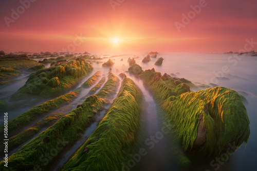 seascape of green sea moss on rocks in Barrika at sunset photo