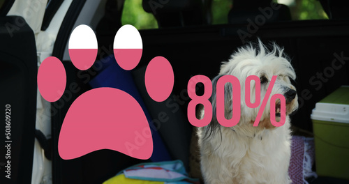 Paw icon with increasing percentage against dog sitting in the back of a car