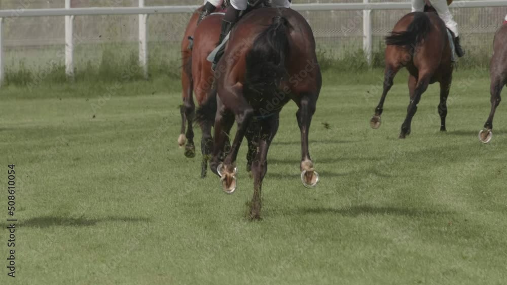 Horses run in competitions in the race for first place. Horse racing in slow motion. Horses run in competitions in the race for first place. Horse racing in slow motion.