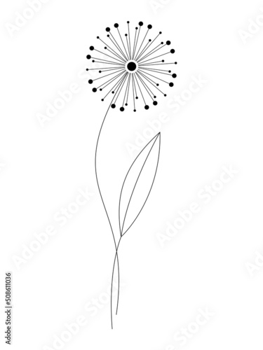 Abstract dandelion flower vector illustration isolated on white. Hand drawn floral design element for print  branding  card  poster. Line art minimal contemporary drawing.