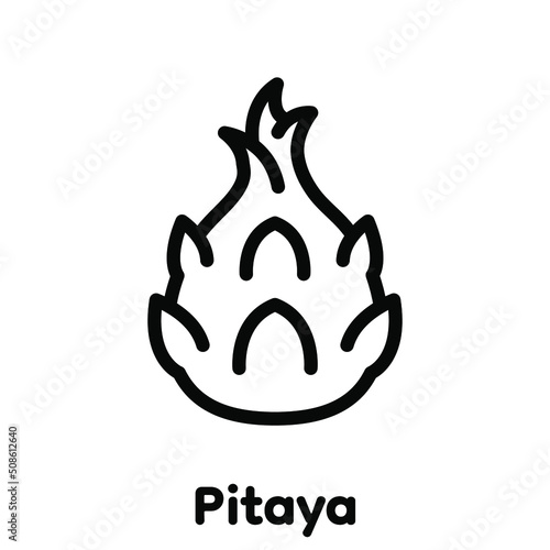 Dragon fruit linear icon, Vector, Illustration.