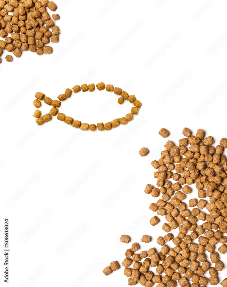 Obraz premium Cat food