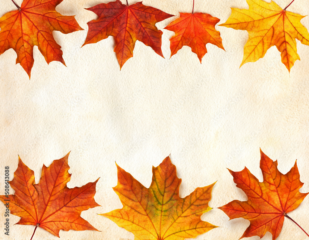 Maple leaves frame Maple leaves frame