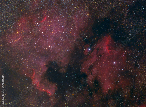 The North America and Pelican Nebulae in the constellation of Cygnus