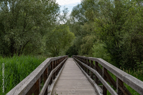 bridge in a riverside forest near the river inn in reichersberg  upper austria