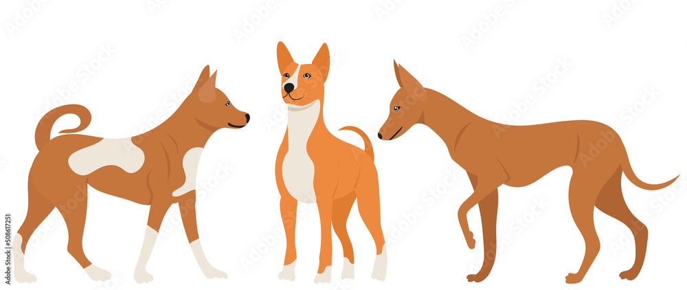 dogs in flat design isolated, vector dogs in flat design isolated, vector