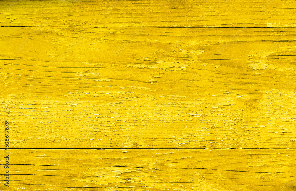 custom made wallpaper toronto digitalVintage yellow tree.