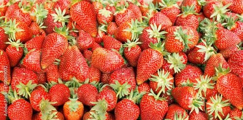 Fresh organic strawberries on the market, a bunch of juicy and delicious fruit