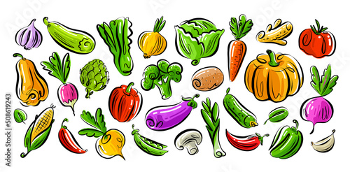 Vegetarian organic healthy food set. Farm vegetables collection. Vegan concept. Color vector illustration