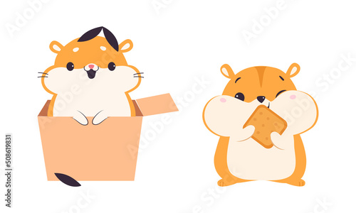 Cute Hamster Character with Stout Body Eating Cookie and Peeking from Cardboard Box Vector Set