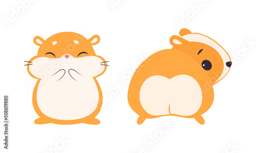 Cute Hamster Character with Stout Body Standing Front and Back Side Vector Set