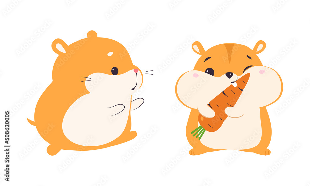 Cute Hamster Character with Stout Body Walking and Eating Carrot Vector Set Cute Hamster Character with Stout Body Walking and Eating Carrot Vector Set