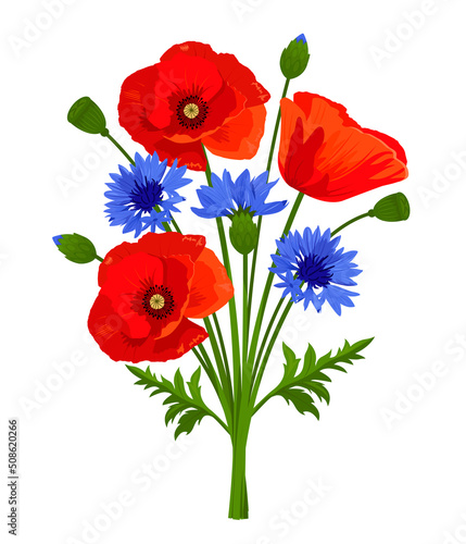 Vector rustic bouquet of wildflowers. Red poppy flowers, blue cornflowers and green leaves isolated on a white background.