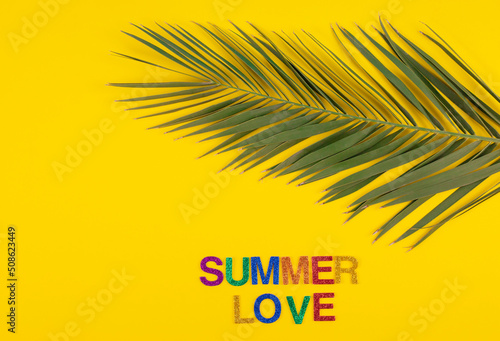 summer love on pastel background with palm tree leaf