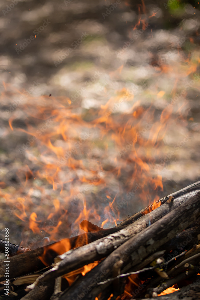 Flame of fire. burning tree branches Flame of fire. burning tree branches