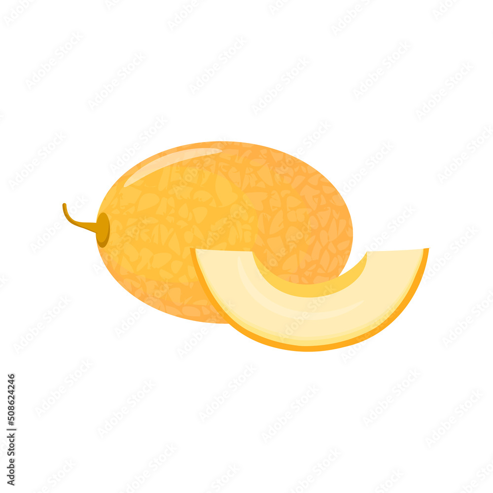 Yellow melon whole and slice isolated on white background. Vector illustration of ripe fruit in cartoon flat style