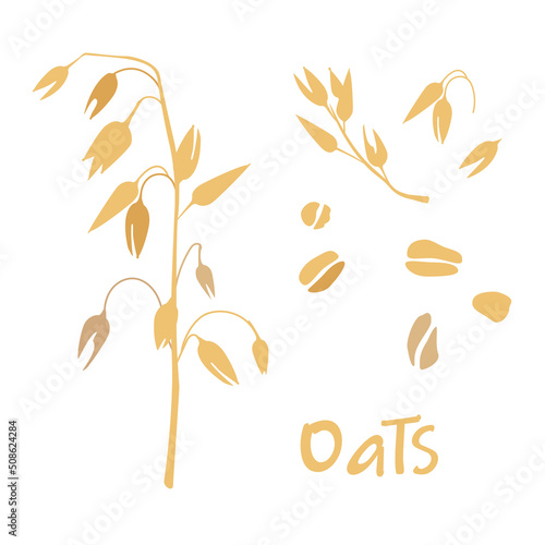 Cereal plants, agriculture industry organic products oat flakes